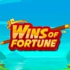 Wins of Fortune game thumbnail