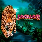 Jaguar Mist game icon